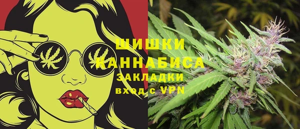 apvp Костерёво