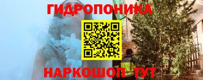 сатива Аша