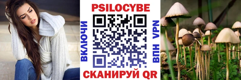купить  сайты  Кондопога  Галлюциногенные грибы Psilocybine cubensis 