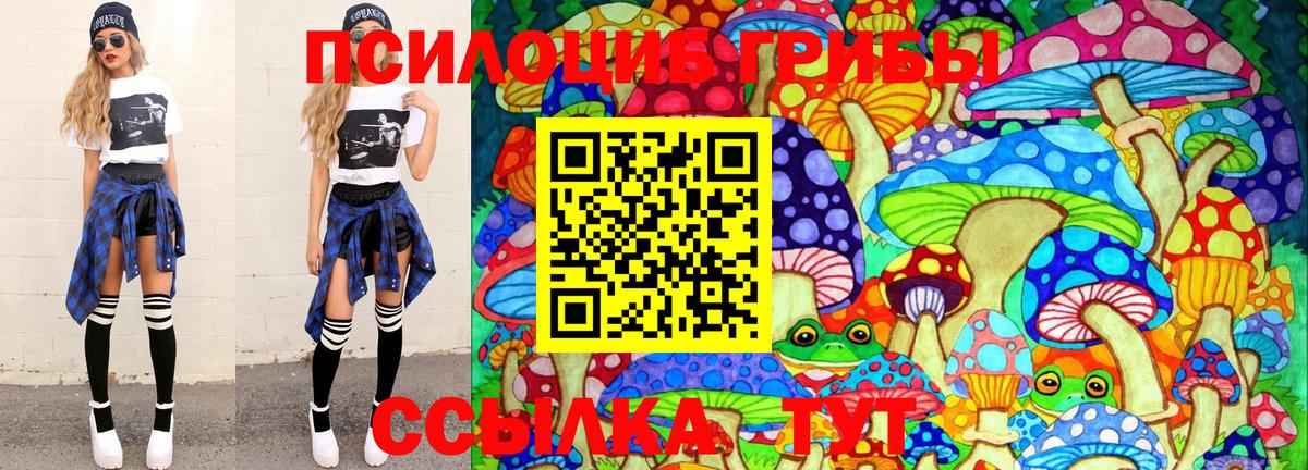 Галлюциногенные грибы Psilocybine cubensis Кондопога